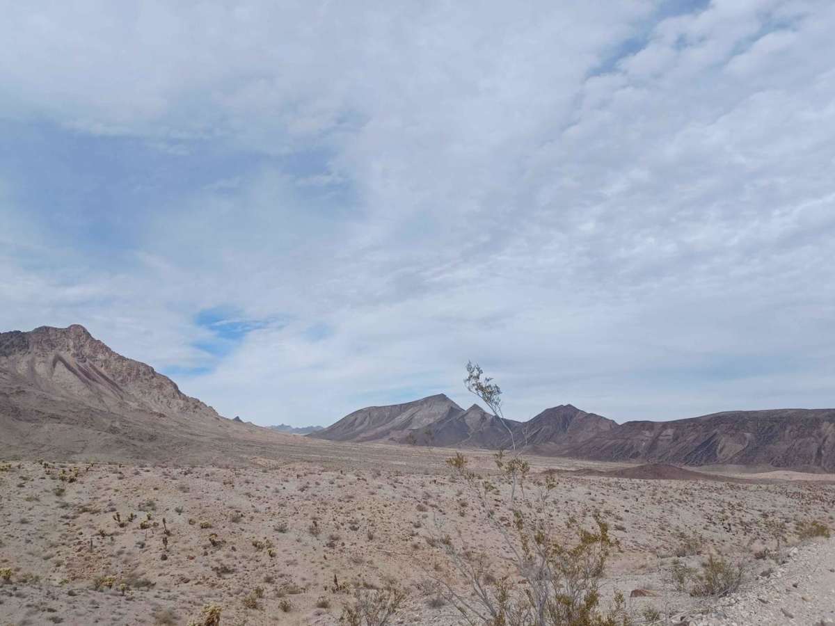 Rockefeller Mine Road photo 5
