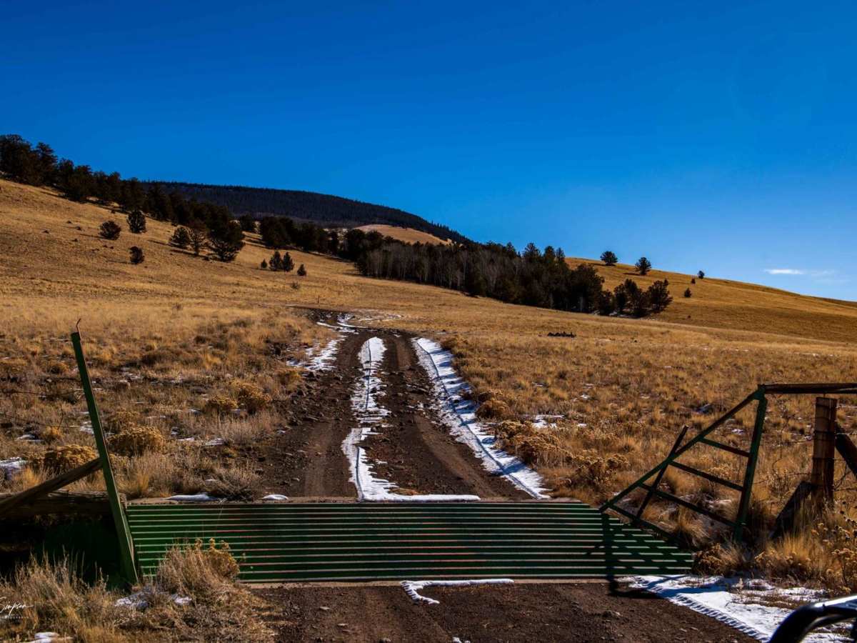 39 Mile Mountain Road trail photo