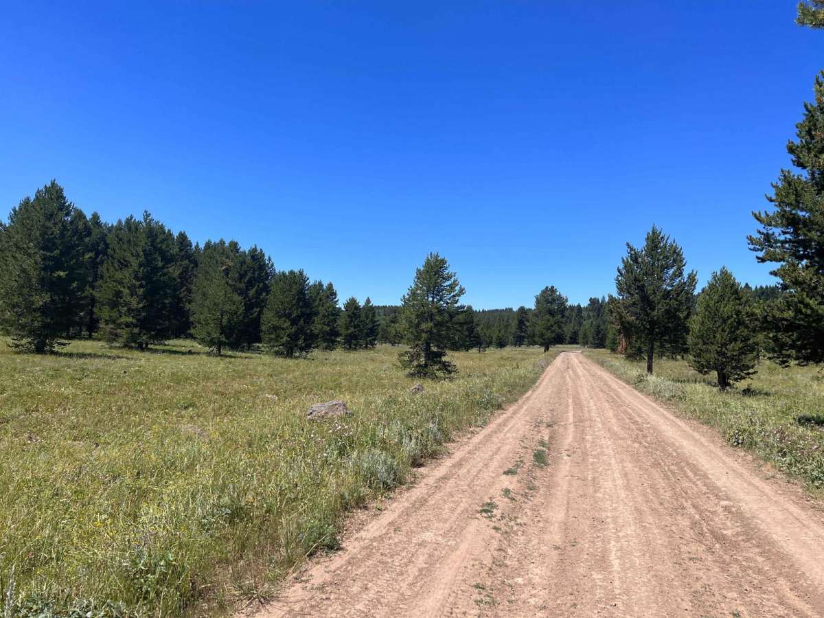 South Antelope Flat Road (20553) photo 5