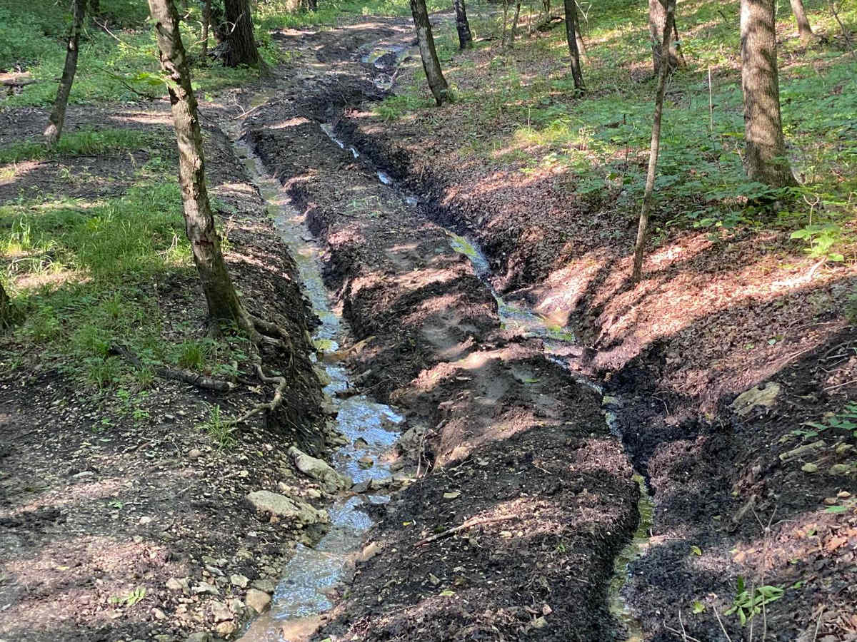 Buck Hill trail photo