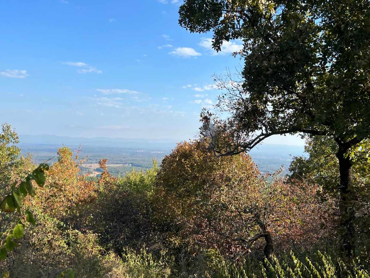 High Point Vista trail photo