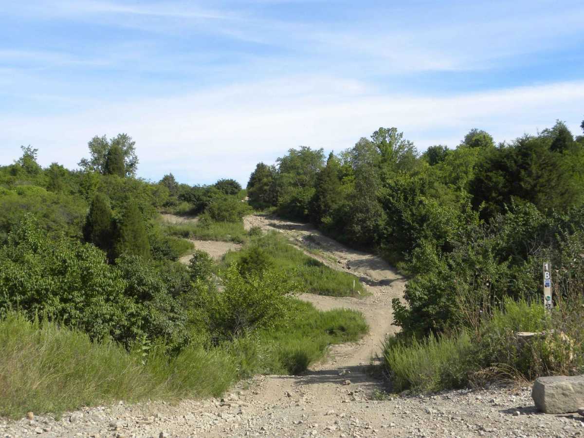 Trail 1B (Intermediate) trail photo