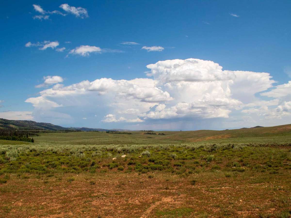 Millie Springs Road photo 4