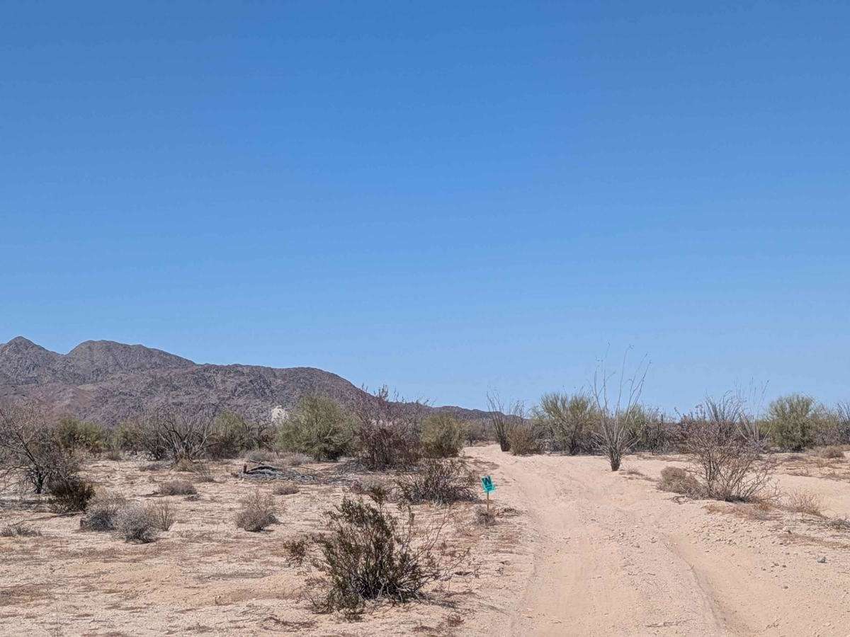Tier Drop Trail trail photo