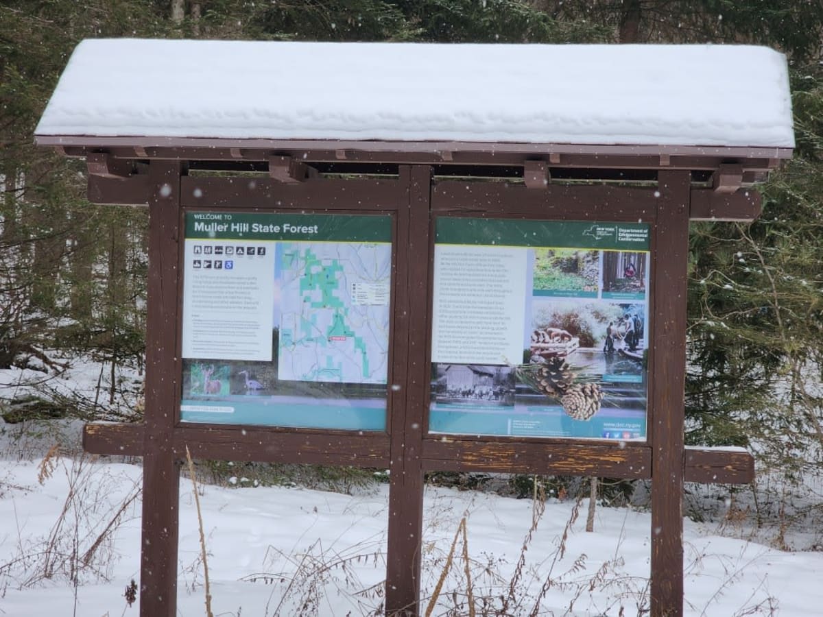 Buck's Brook Track trail photo