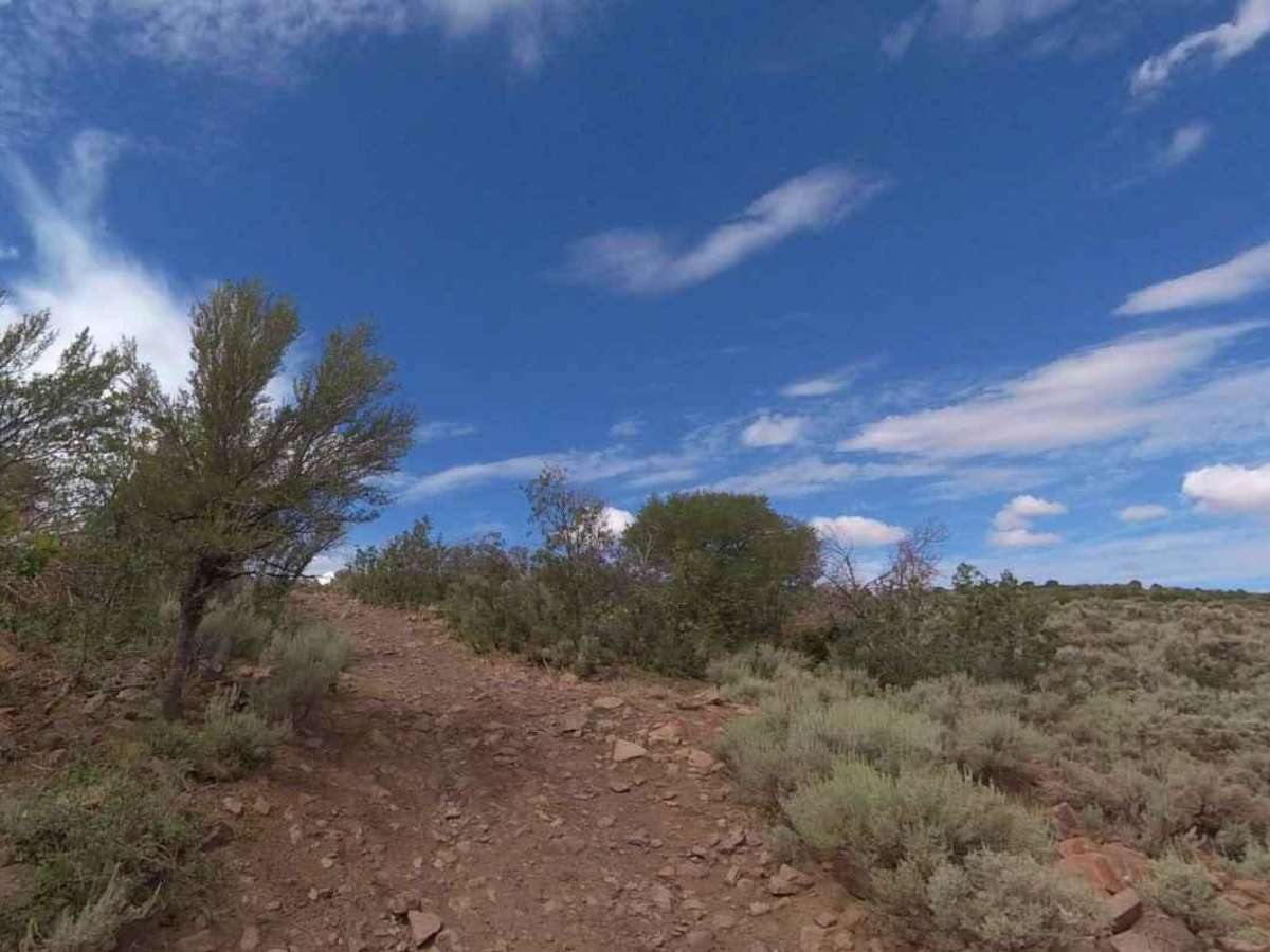 Rose Meadows- FS 40058 photo 5
