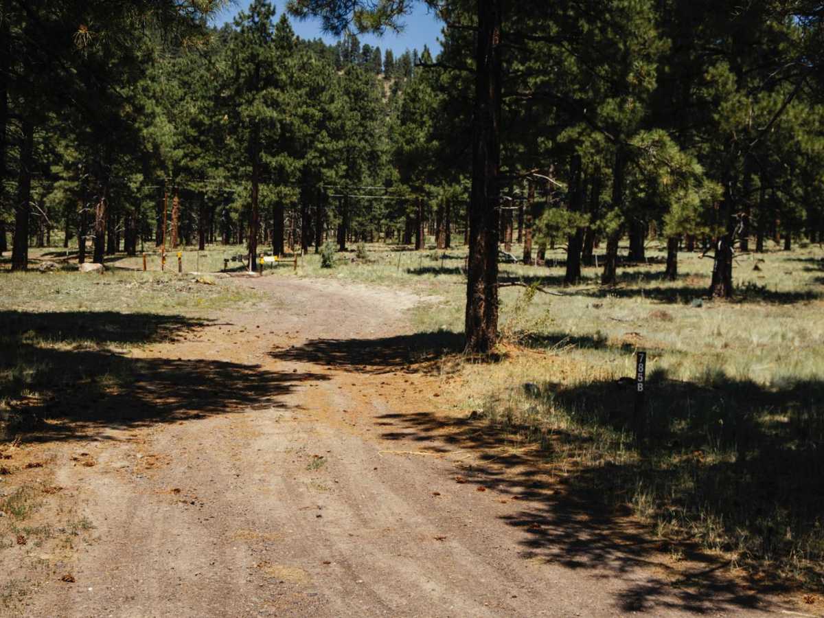 Government Hill trail photo
