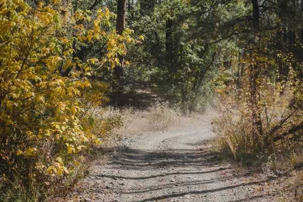Schoolhouse Gulch