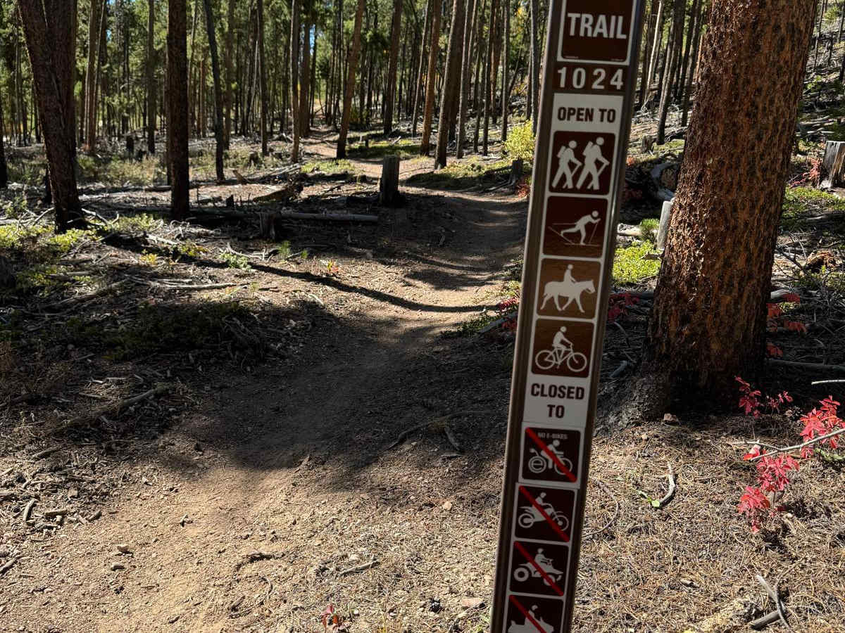 Frey Gulch Road photo 6