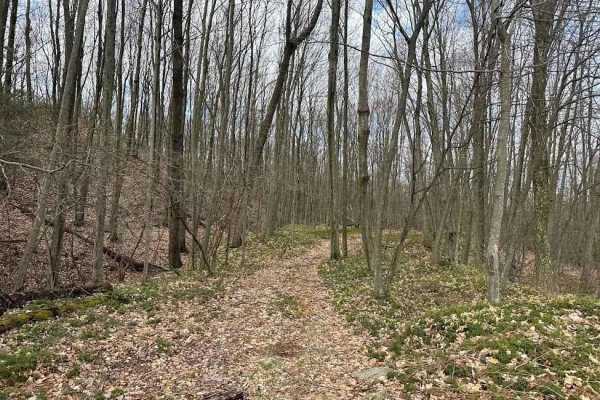 Ashland 136