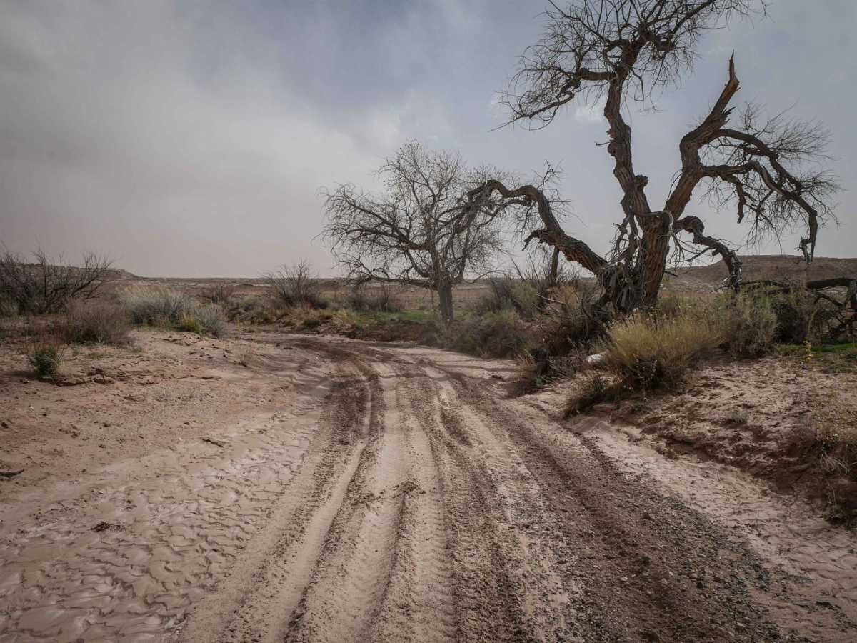 Upper Salt Wash photo 5
