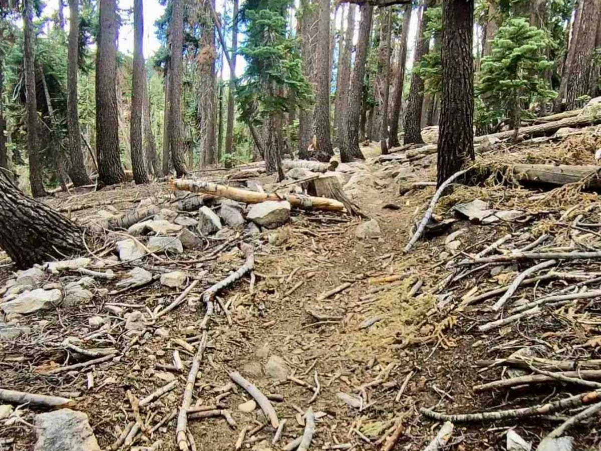 Sherman Pass photo 3