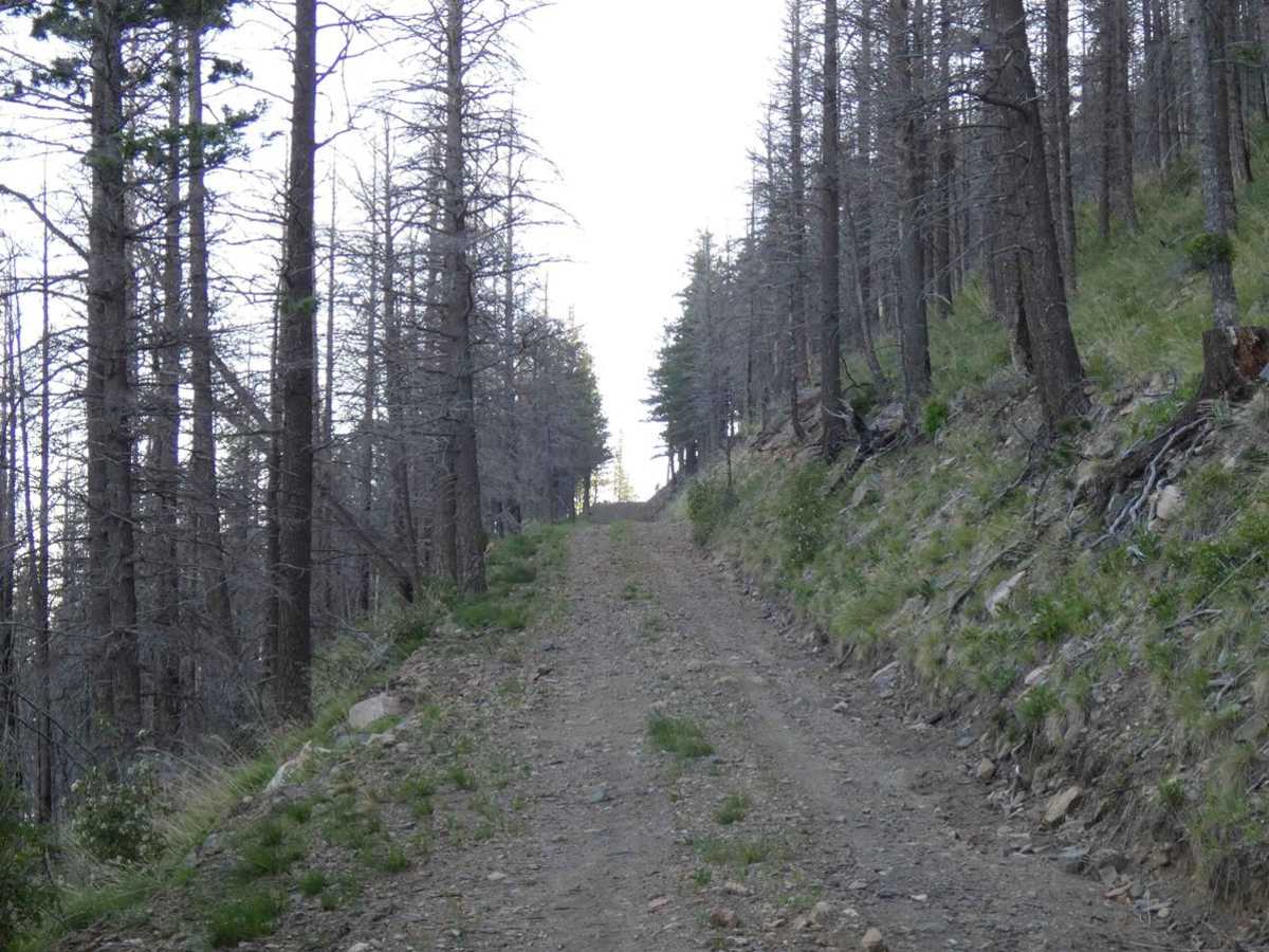 San Geronimo Back Road photo 2