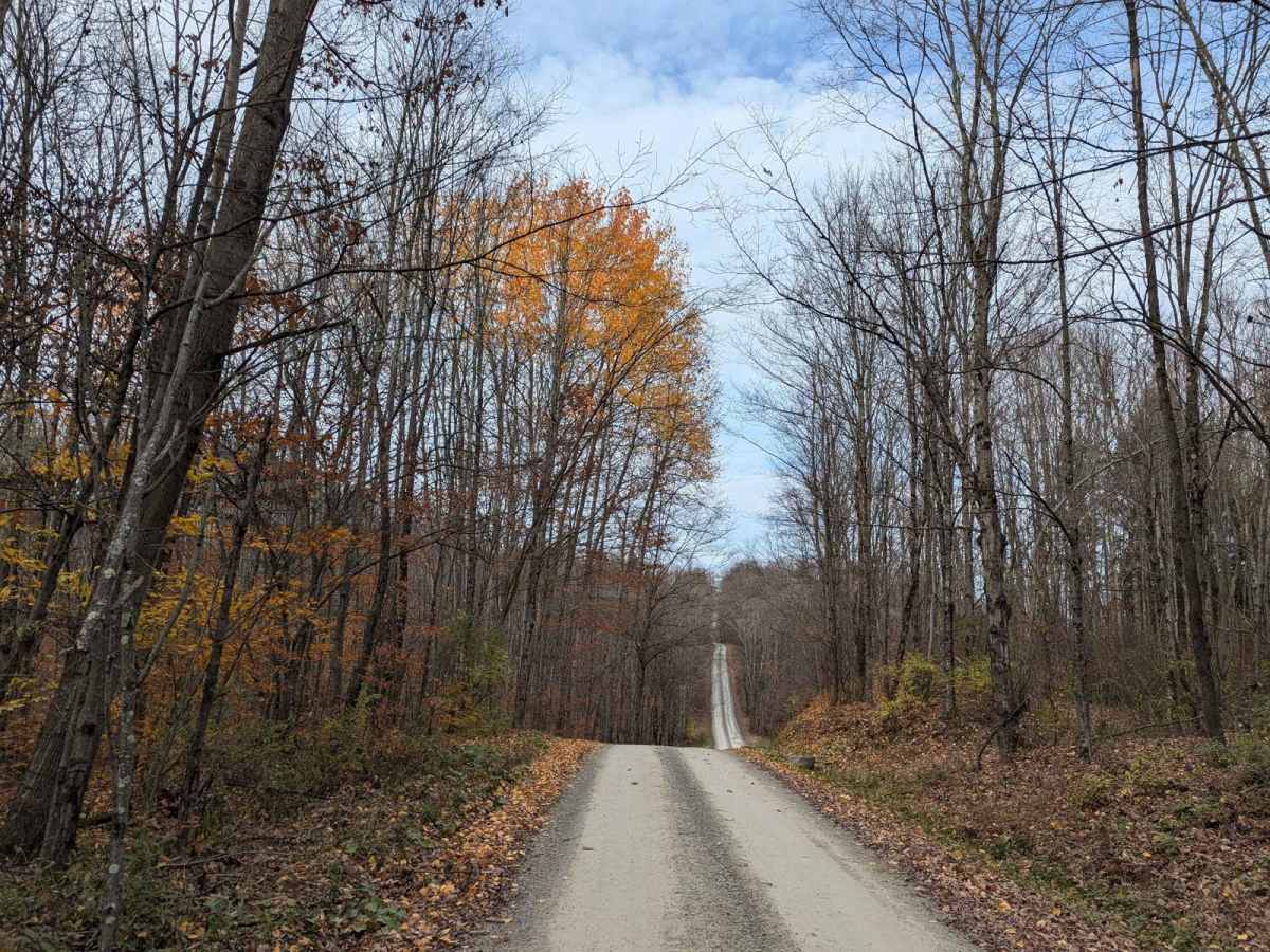 Irish Hill Road photo 5