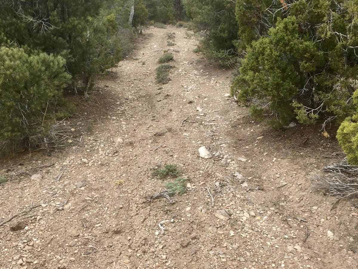 South Gallagher ATV Trail photo 6