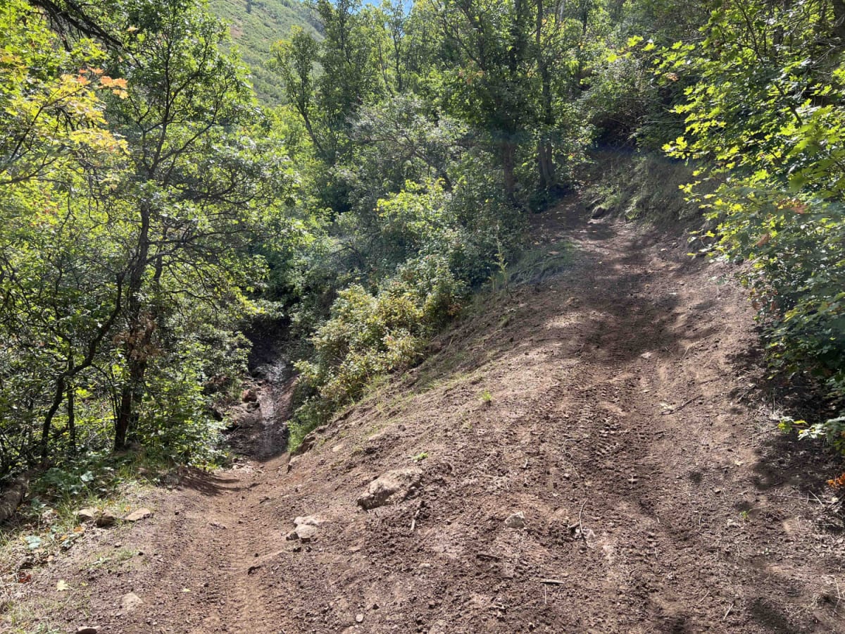 Kirkman Hollow (8012) photo 6