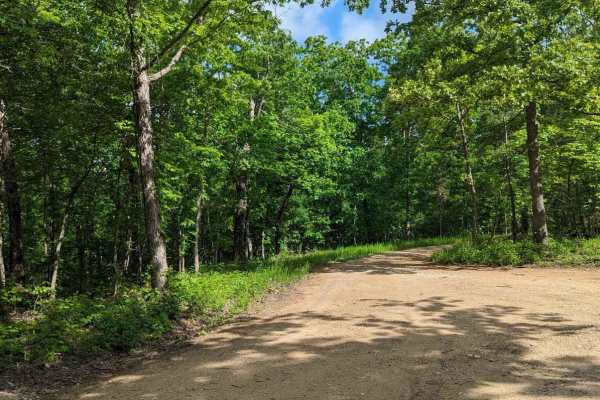 FSR 3136- Brown's Ridge