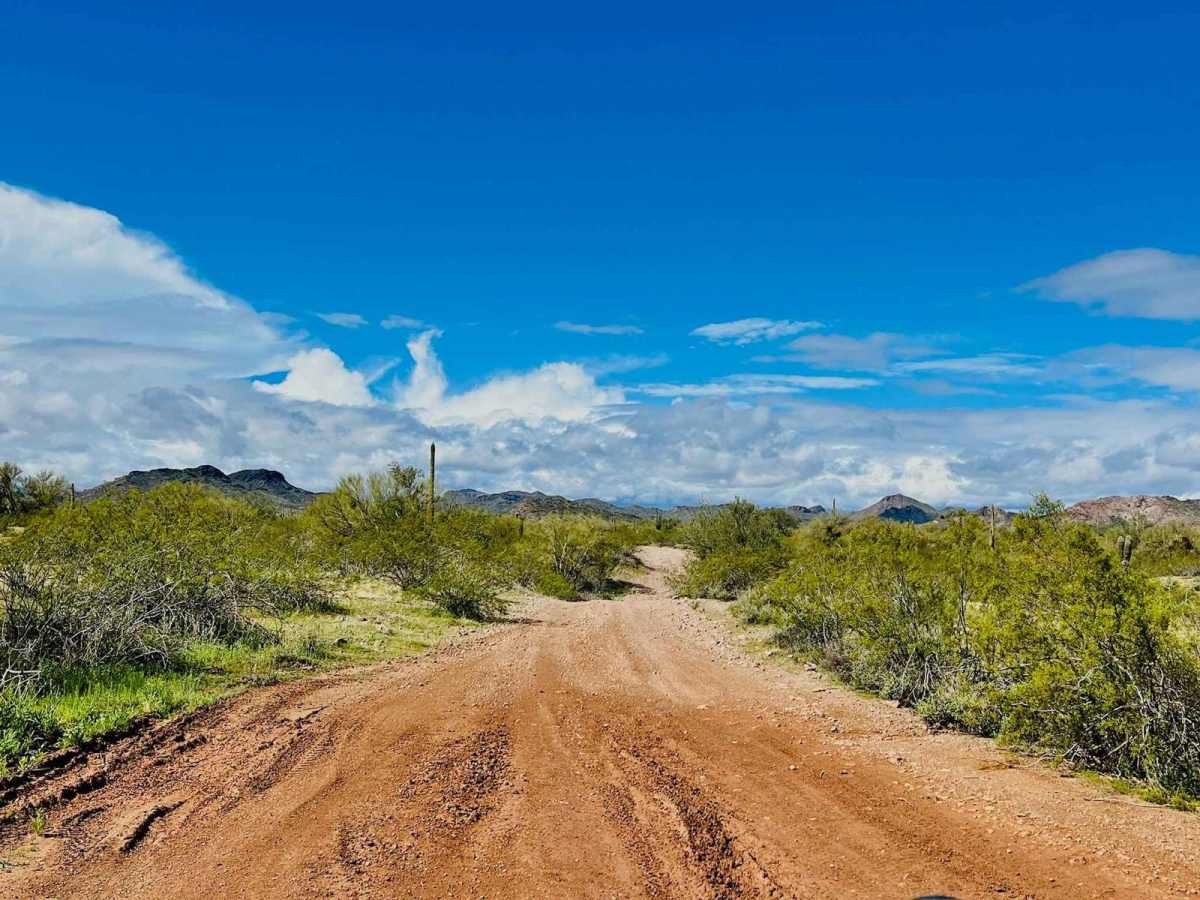 Saguaro Arm Valley photo 6