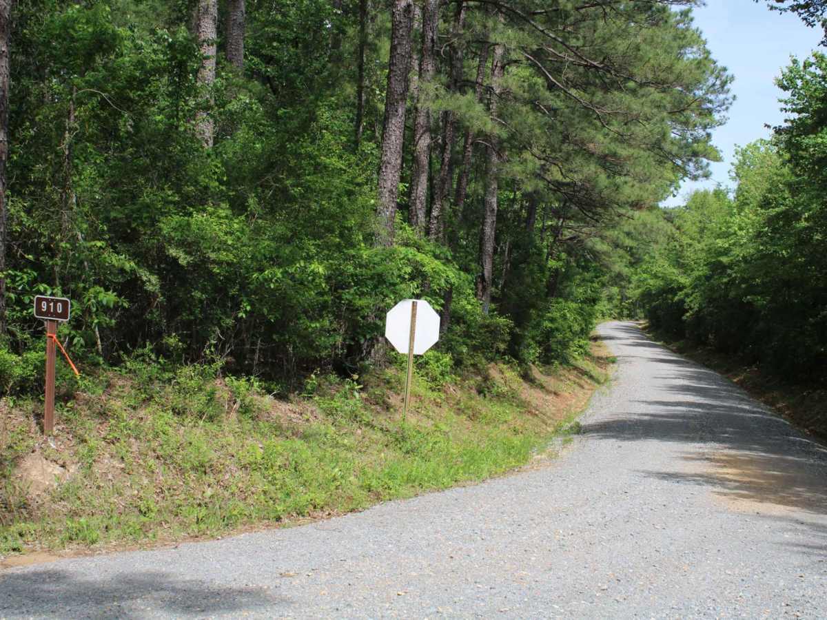Turkey Trot in the Kisatchie photo 6