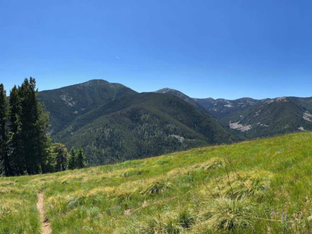 Divide Trail #106 to Twin Creek Ridge Trail trail photo