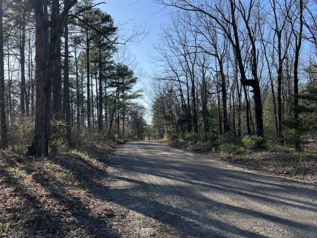 Wilderness Trail photo 3