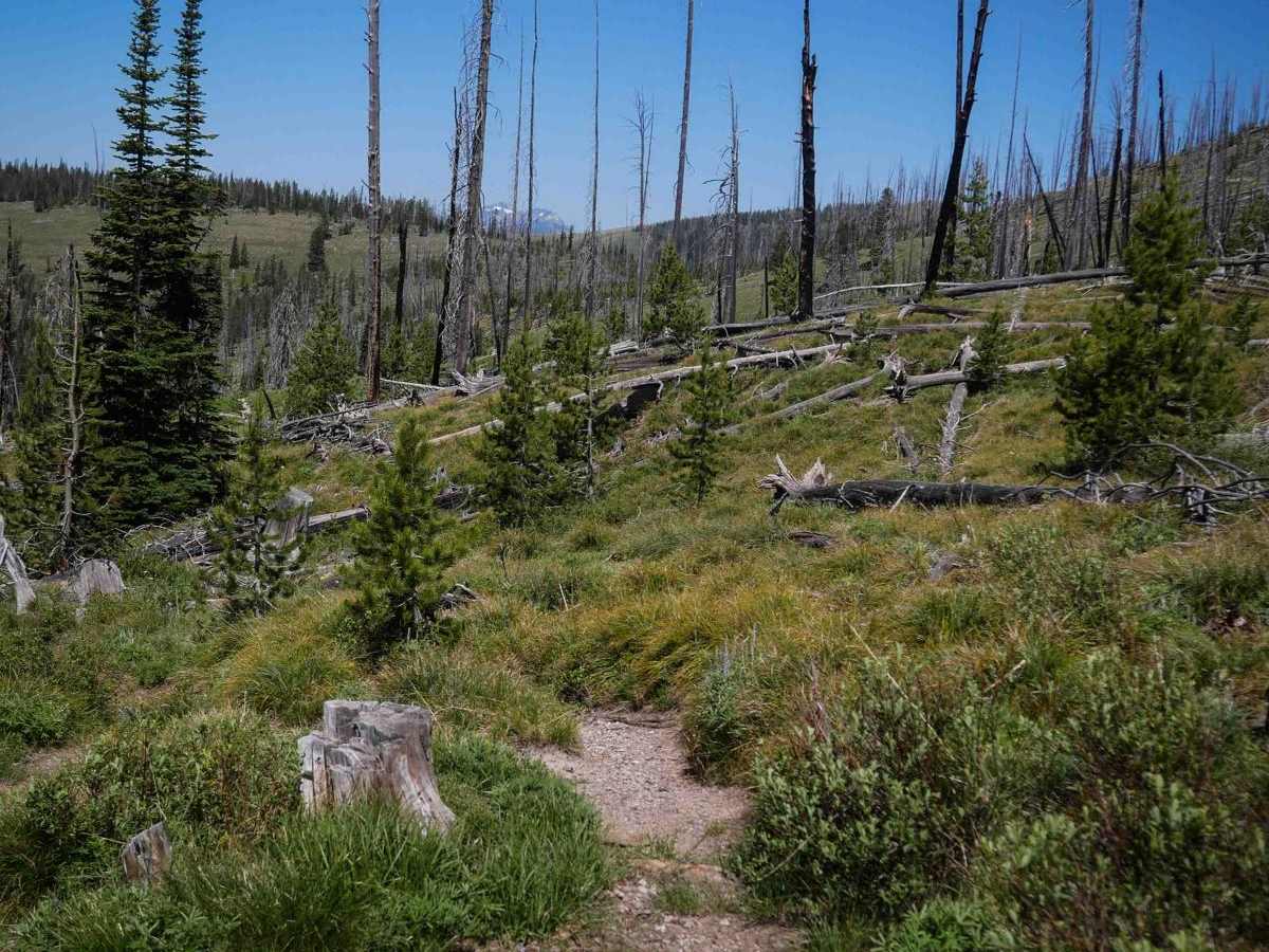 Colter Creek photo 3