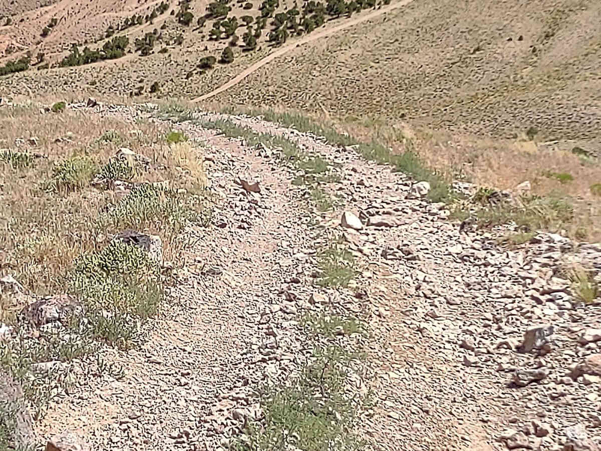 Over Hill, Over Dale photo 5