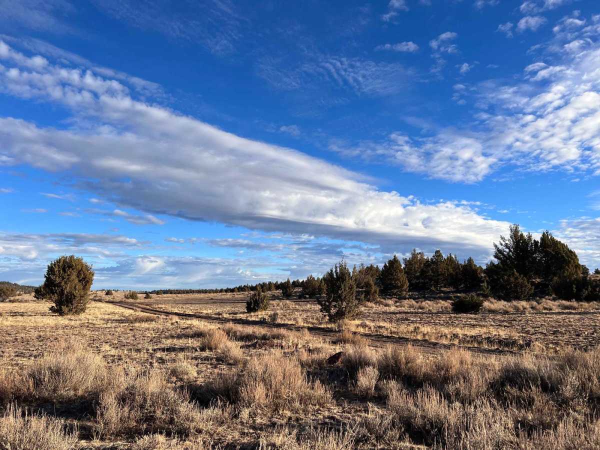 Smith Flat Huffman Camp trail photo