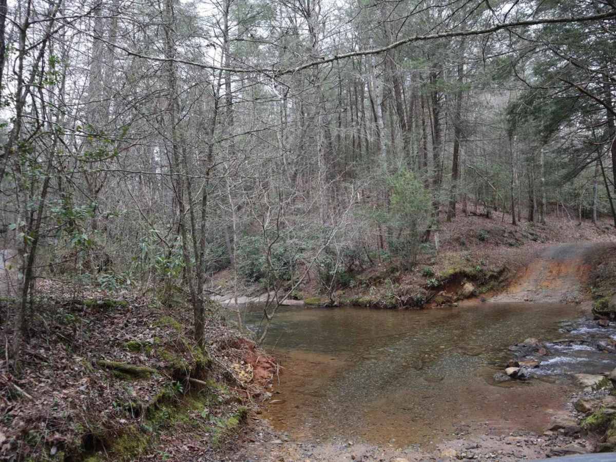 Boggs Creek trail photo