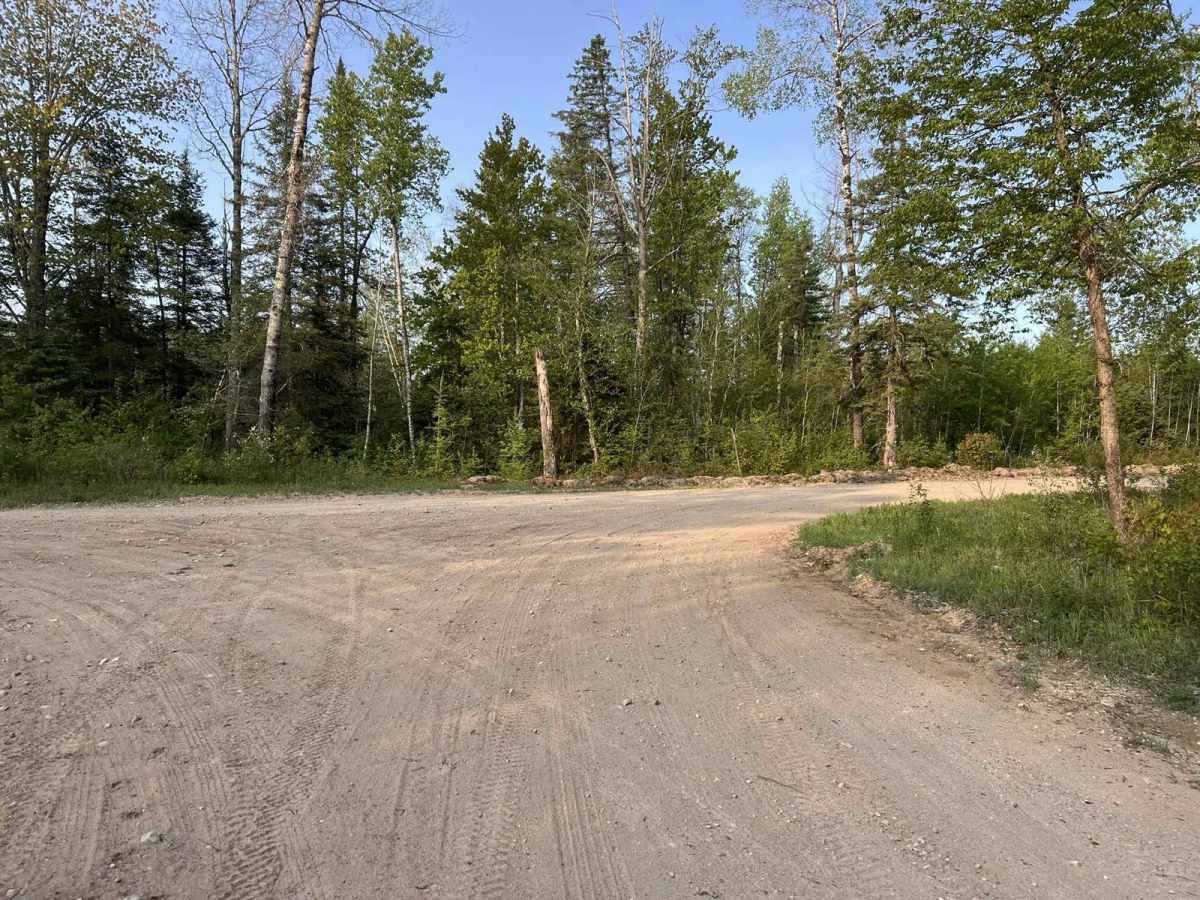 Browns Lake Road photo 4