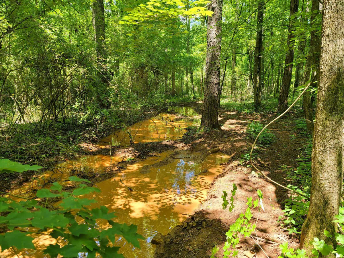 Puddle Place Loop photo 6
