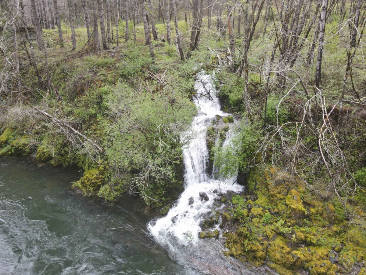 Horse Creek Road photo 2