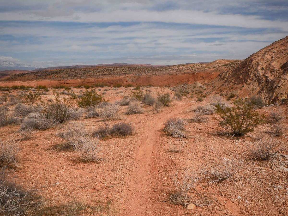 White Rocks Single Track photo 6