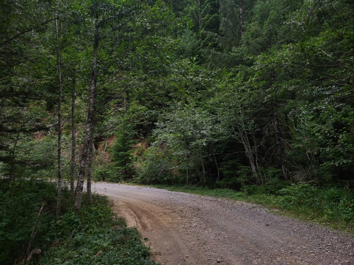 Creek Gravel Grumbler Road photo 6