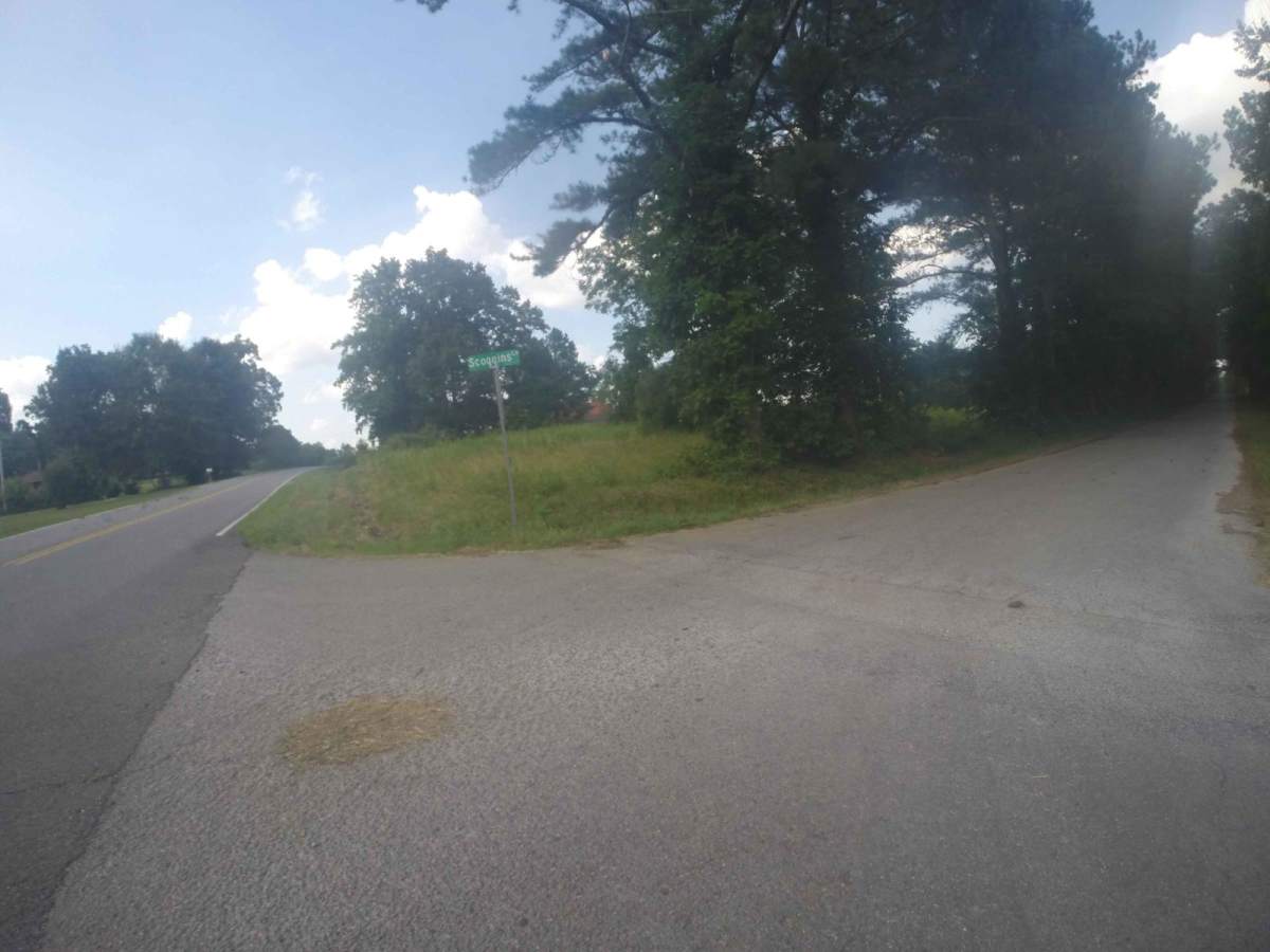 Manning Mill Road - Forest Road 227 photo 2
