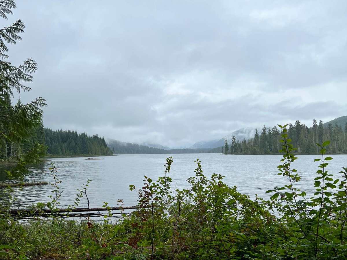 Highway 19 to Klaklakama Lake Recreation Sites photo 3