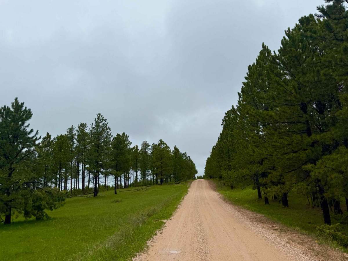 Custer Limestone Road photo 3