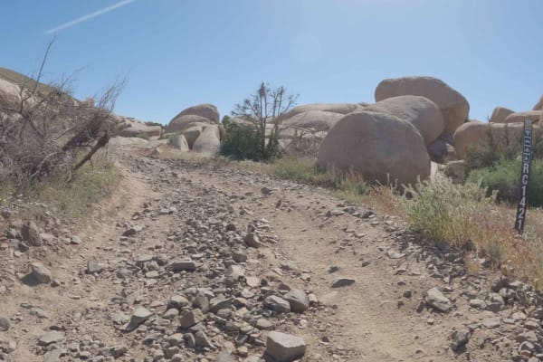Roadrunner Rut - BLM S1421