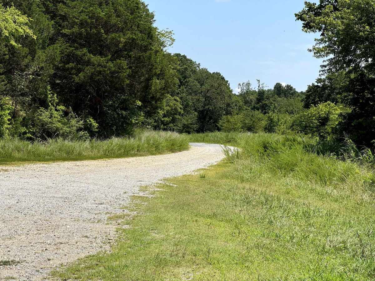 Jones Creek Road photo 6