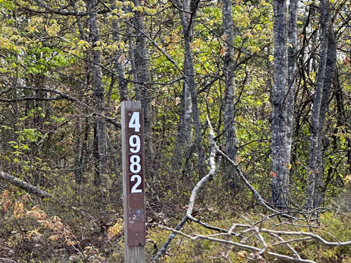 FS 4982 photo 2