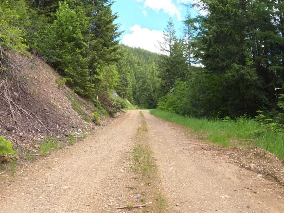 Johnson-First Creek Road-W.Side Ninemile Road trail photo