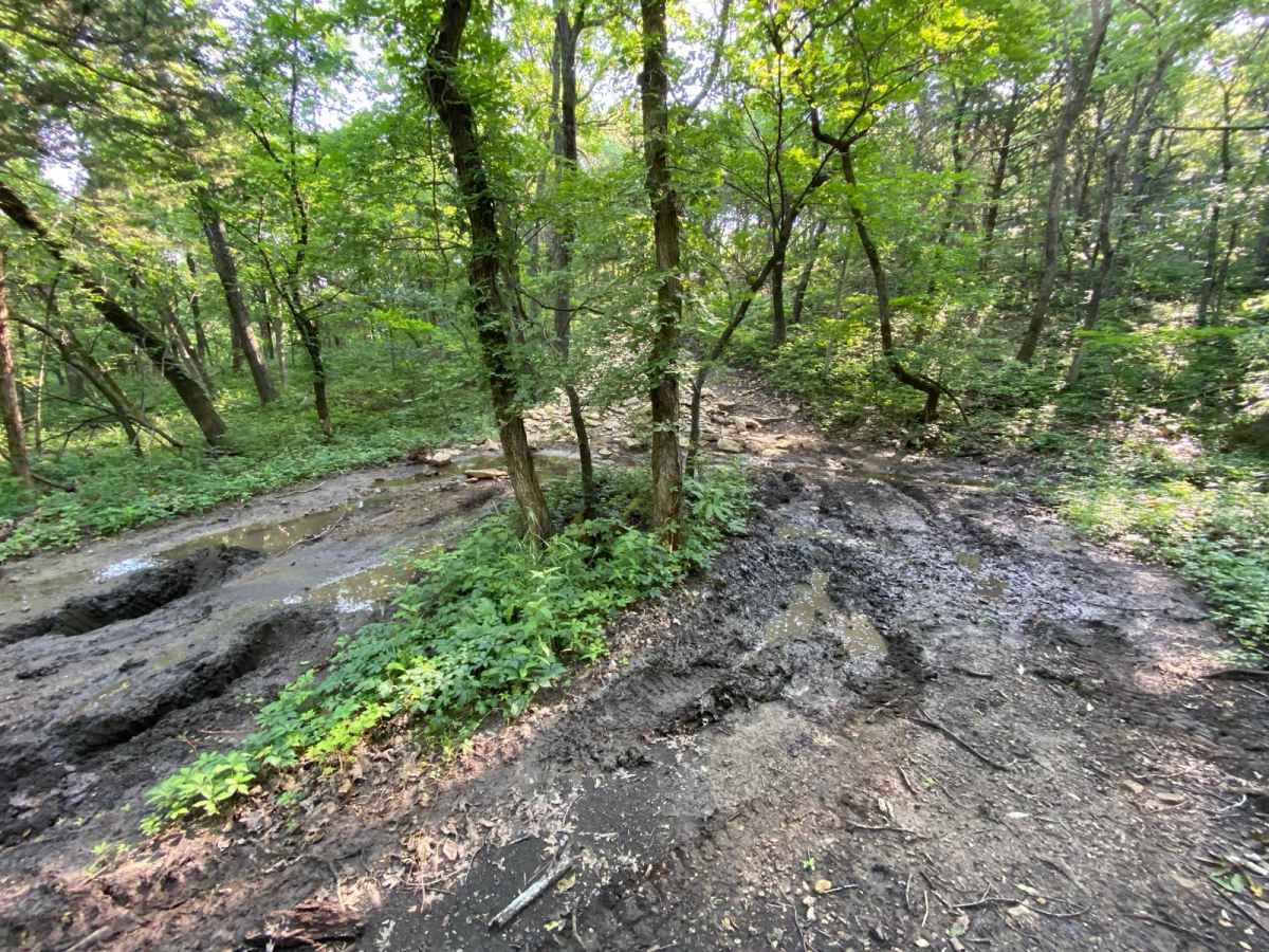 Muskrat Hill photo 3