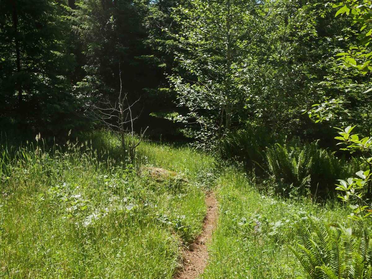 #60 trail photo