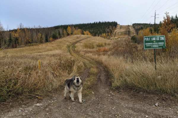 Brule Lake Hill Climb