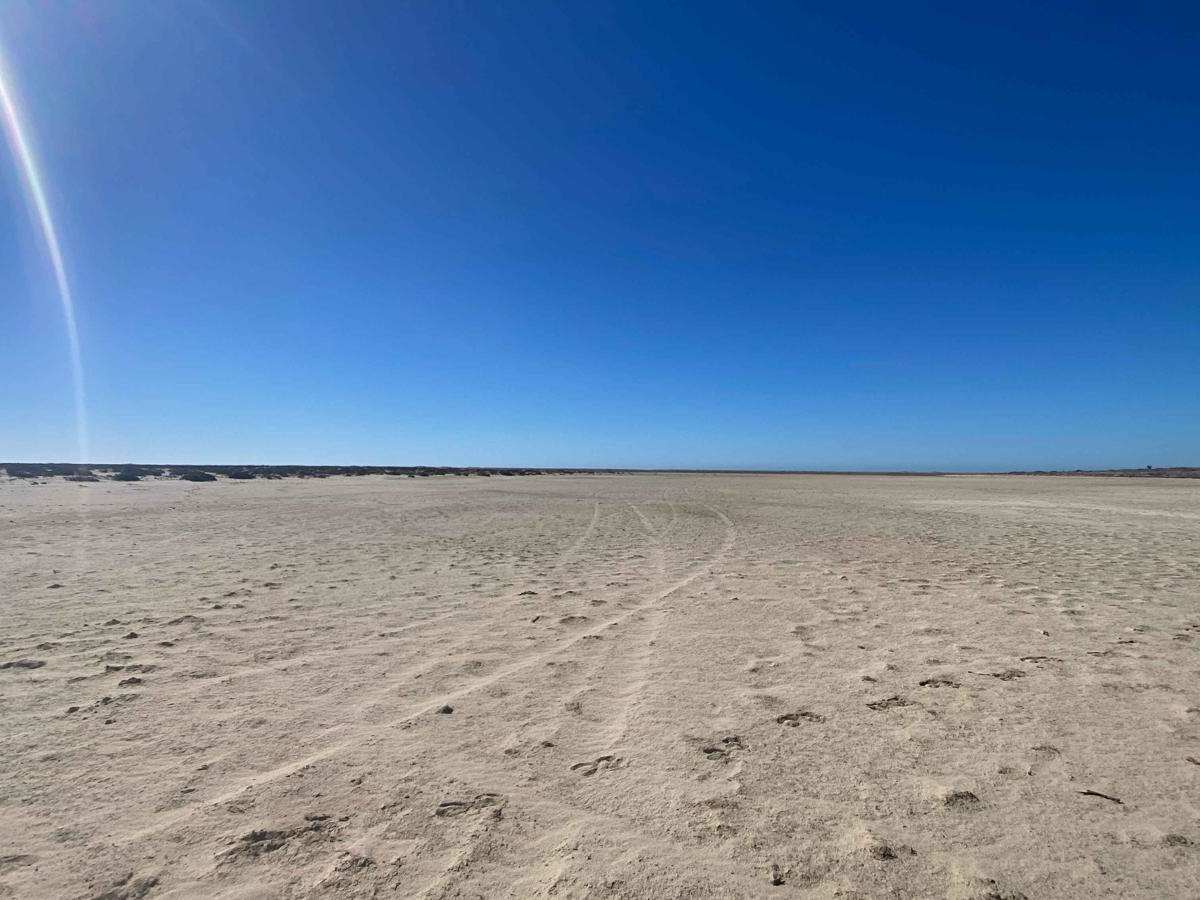 Salt Flats Adventure photo 2