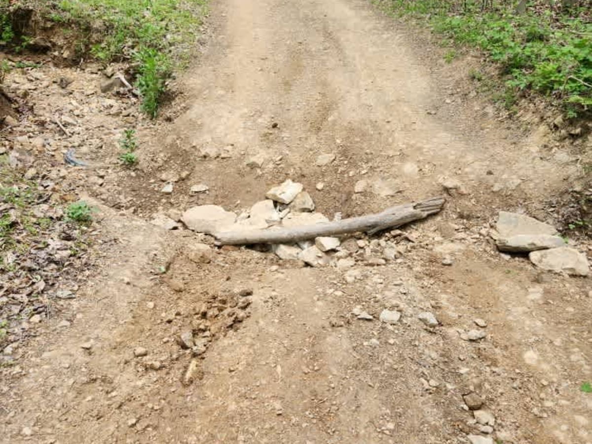 Tobe Lewis Road photo 2