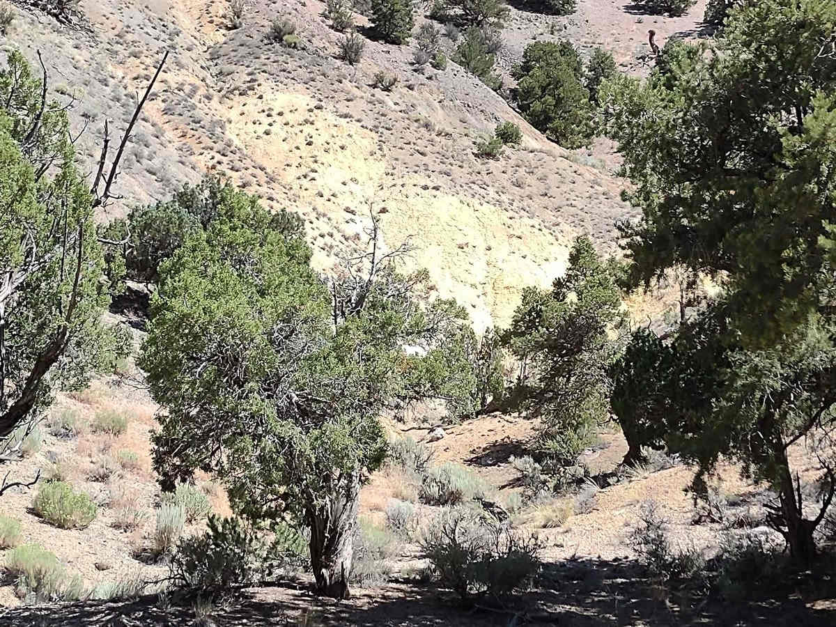 Views of Big Rock Candy Mountain Canyon photo 6