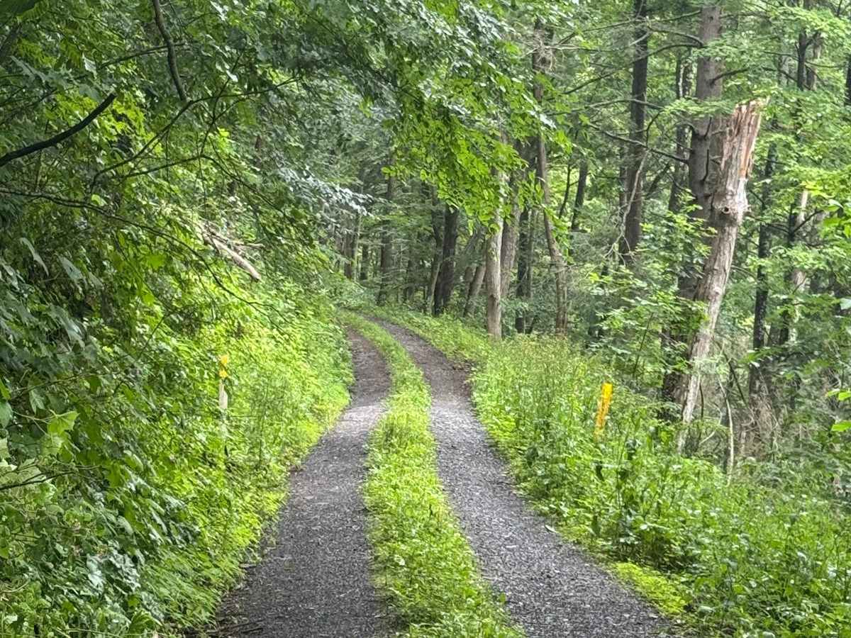 Fork Hill Road photo 4