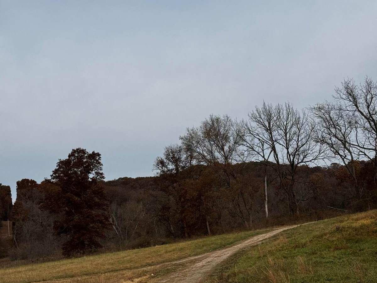 Bottoms Access trail photo