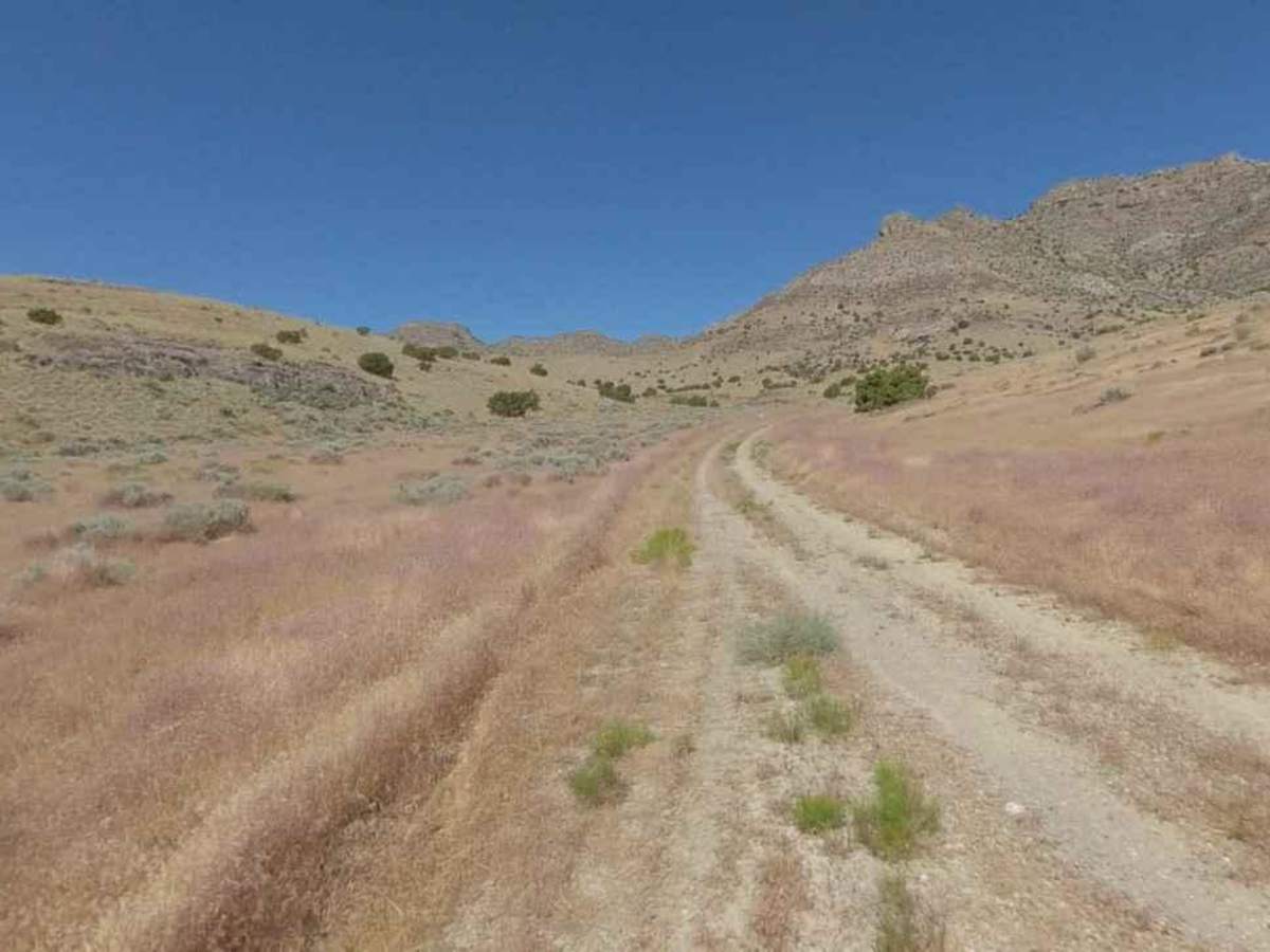 Conger Mountain OHV Route 6 photo 4